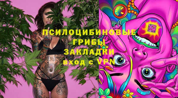 Альфа ПВП Кукмор
