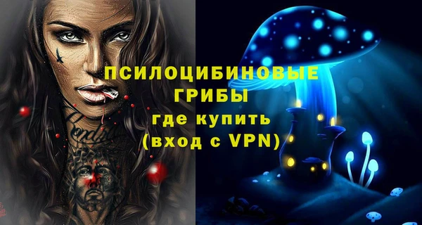 тгк Кулебаки