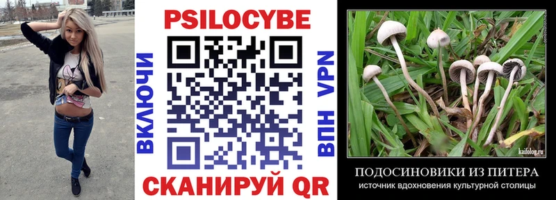 Галлюциногенные грибы Psilocybine cubensis  Липки 
